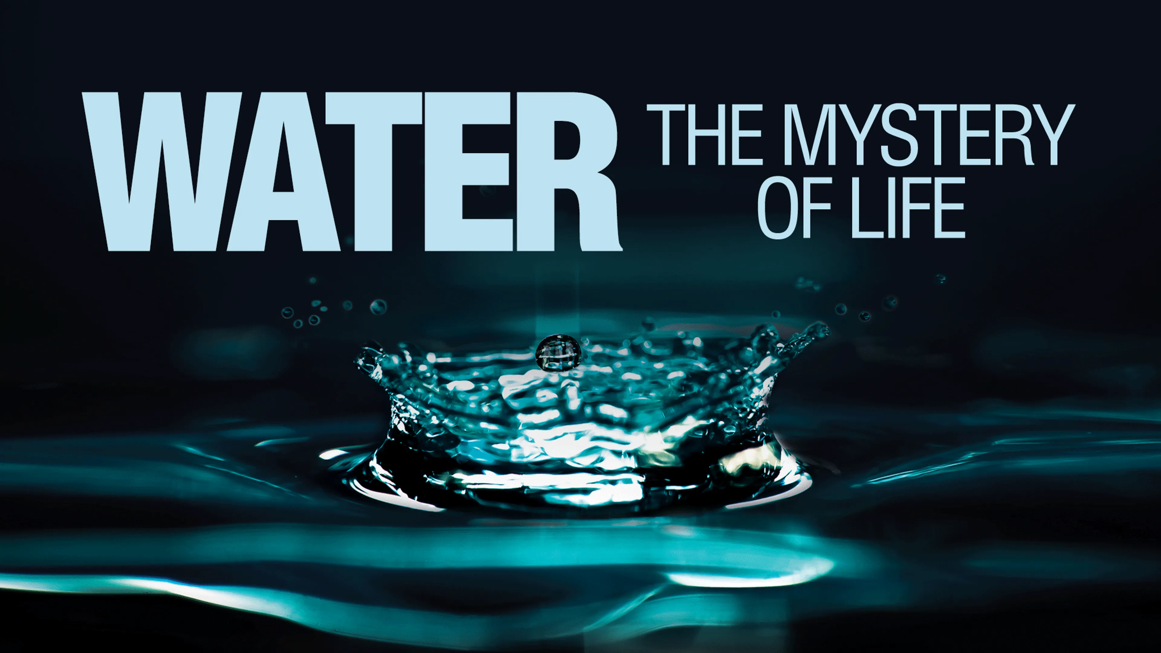 Water the Mystery of Life poster